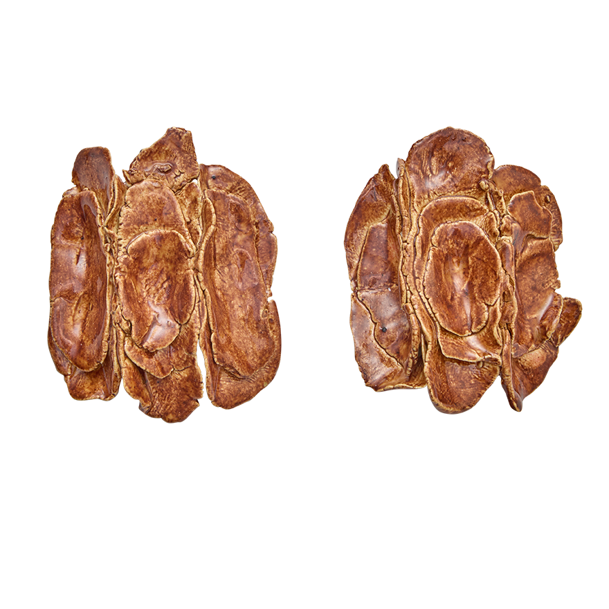 Pendientes Petra