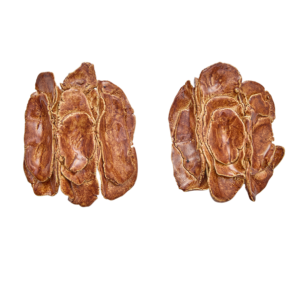 Pendientes Petra
