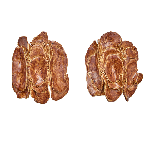 Pendientes Petra