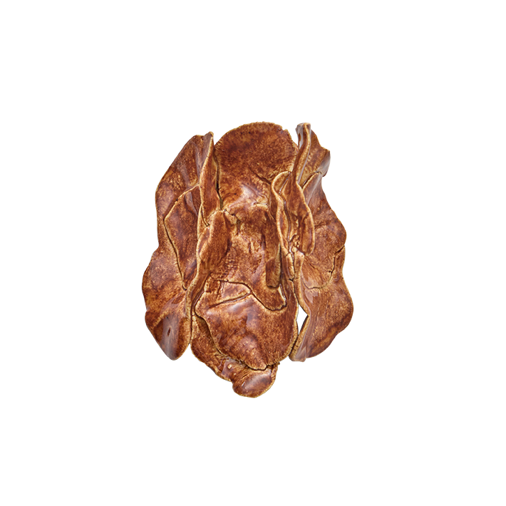 Broche Petra