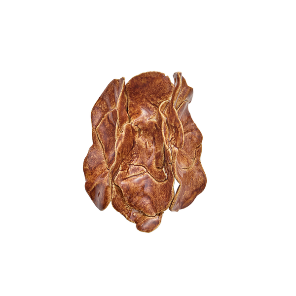 Broche Petra