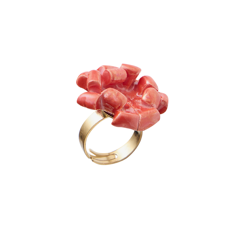 Anillo Regalo