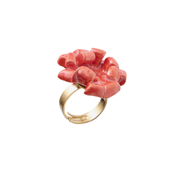Anillo Regalo